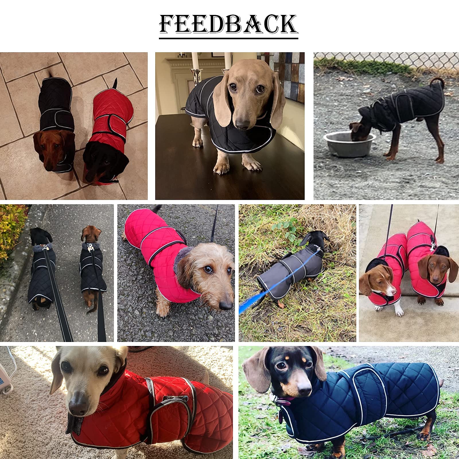 Morezi abrigo dachshund, banda reflectante para visibilidad nocturna