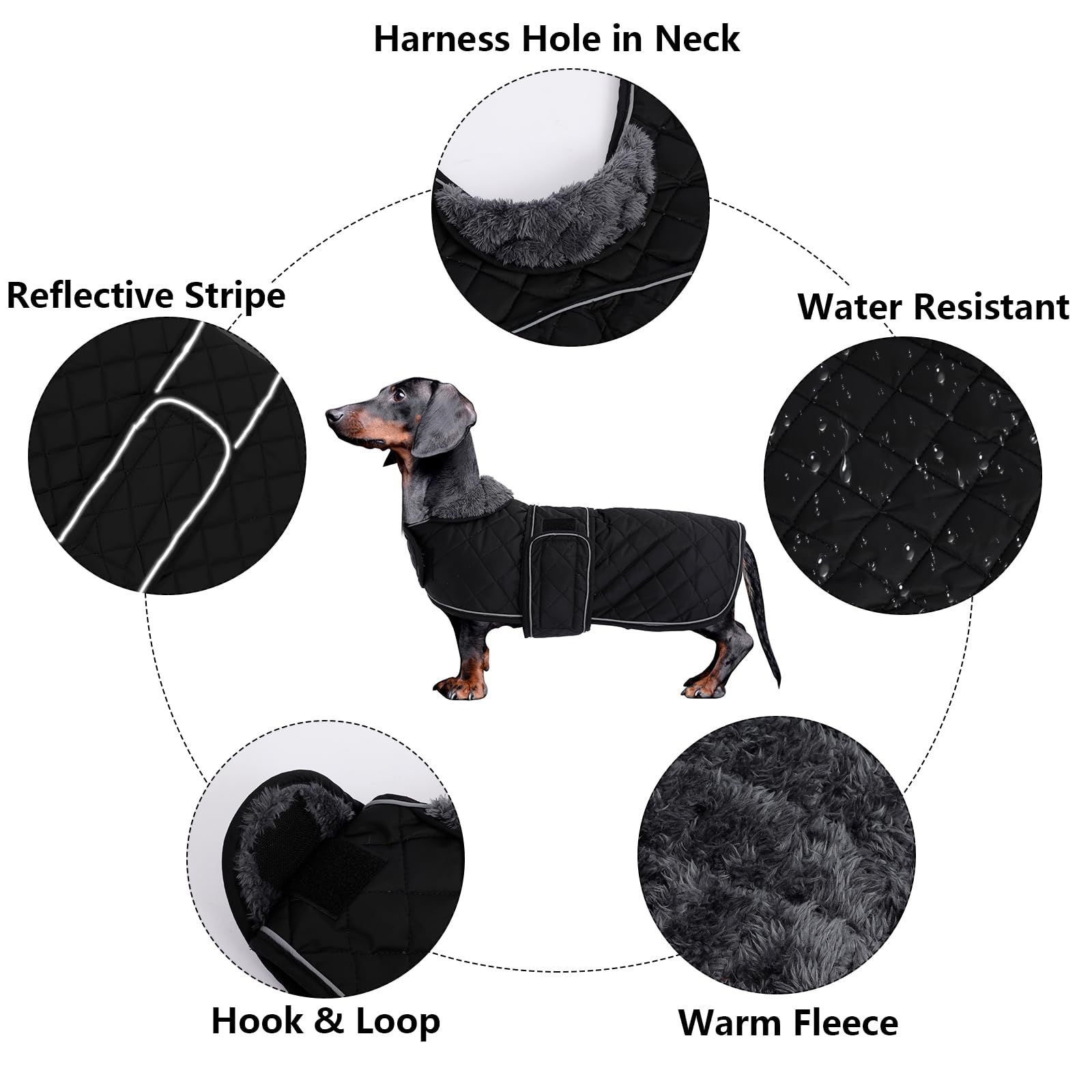 Morezi abrigo dachshund, detalle correas ajustables para ajuste seguro