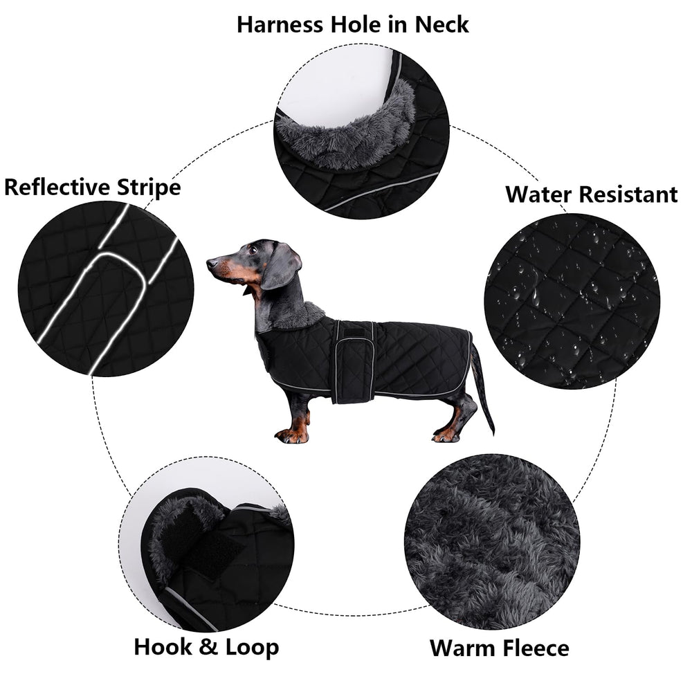 Morezi abrigo dachshund, detalle correas ajustables para ajuste seguro