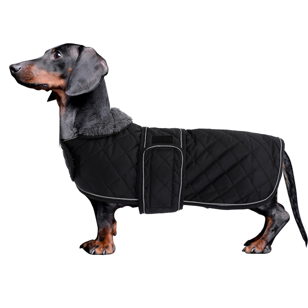 Morezi abrigo dachshund, frontal negro, ideal para paseos diarios