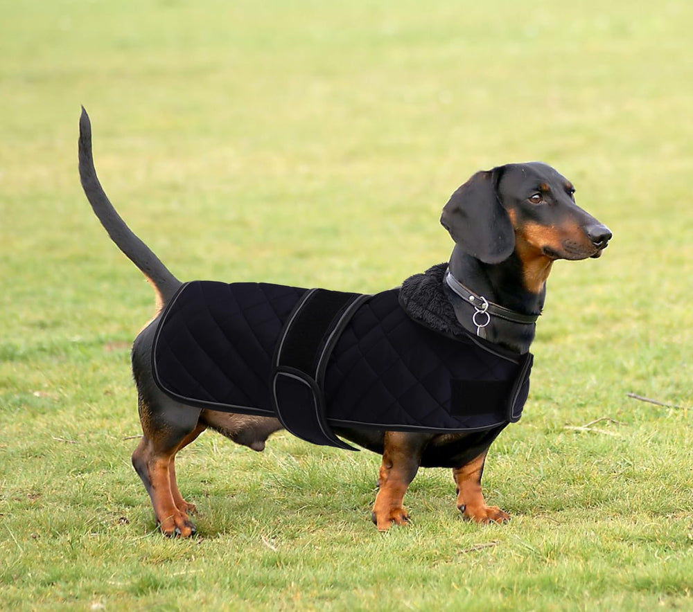 Morezi chaqueta dachshund lavado a máquina fácil de limpiar