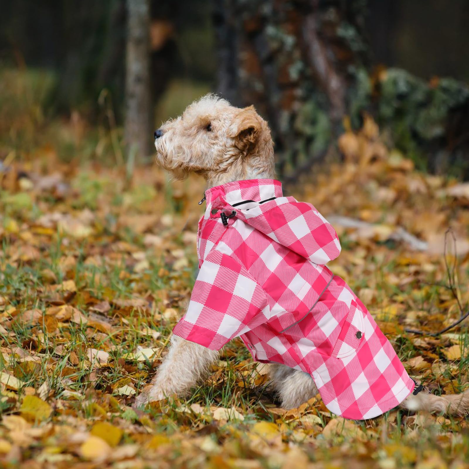 Morezi chaqueta con ajuste cómodo, ideal para razas pequeñas y medianas