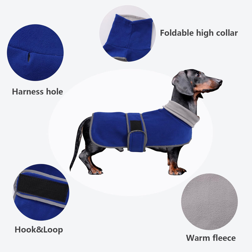 Morezi cierre gancho y bucle facilita ponérselo a dachshund azul.