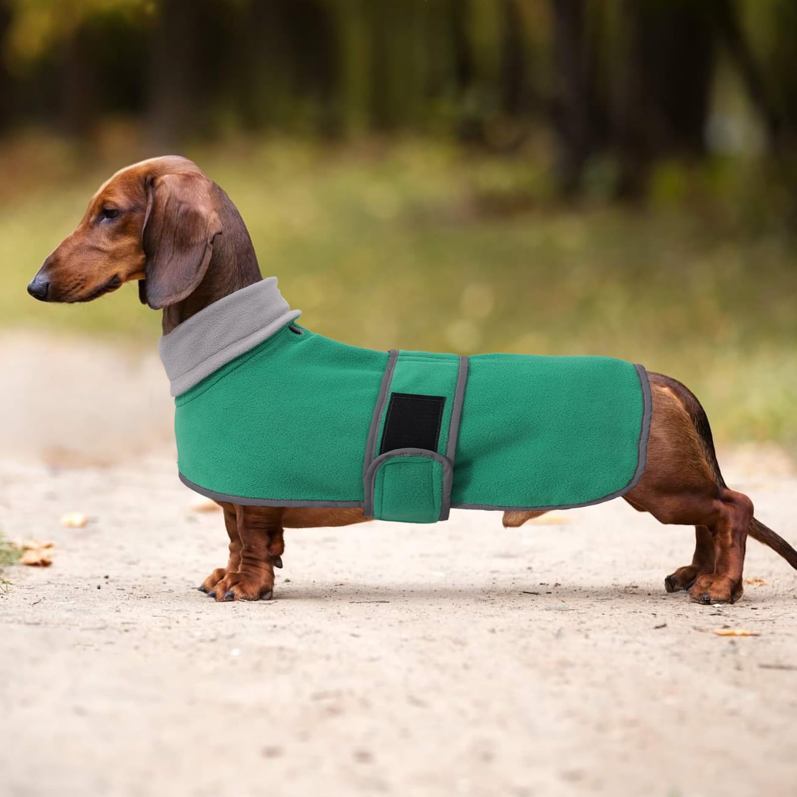 Morezi abrigo para perro salchicha con visibilidad nocturna en verde.