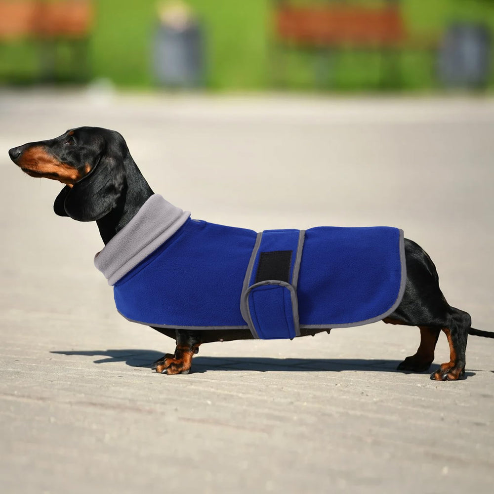 Morezi costuras reforzadas para mayor durabilidad en dachshund azul.