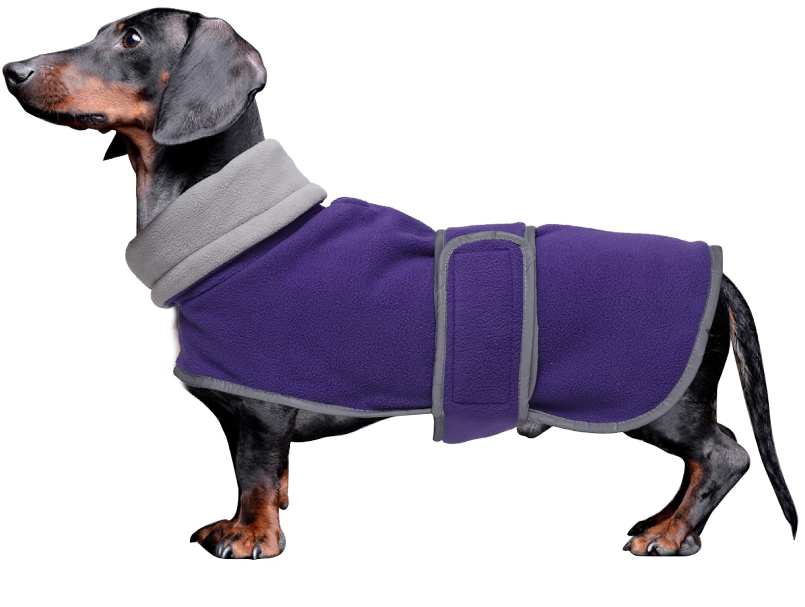 Morezi abrigo para dachshund con cierre gancho-bucle para ajuste seguro en paseos