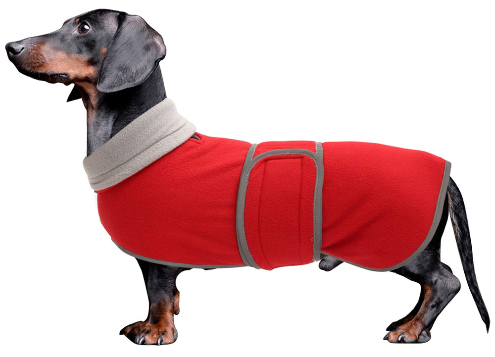 Morezi Dachshund Coat frente: abrigo cálido para paseos de invierno