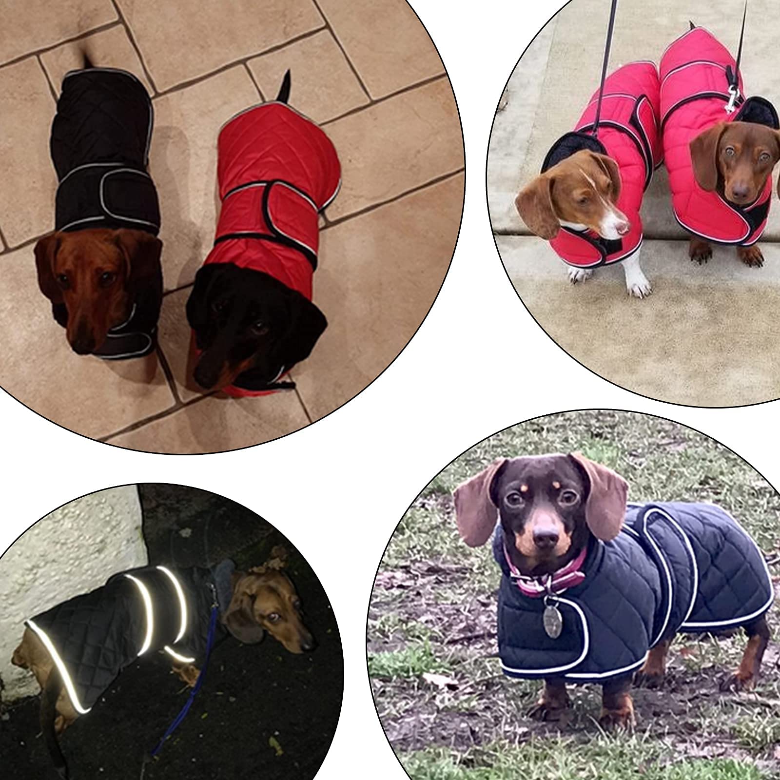 Morezi abrigo dachshund rosa ajuste de correas para mayor comodidad