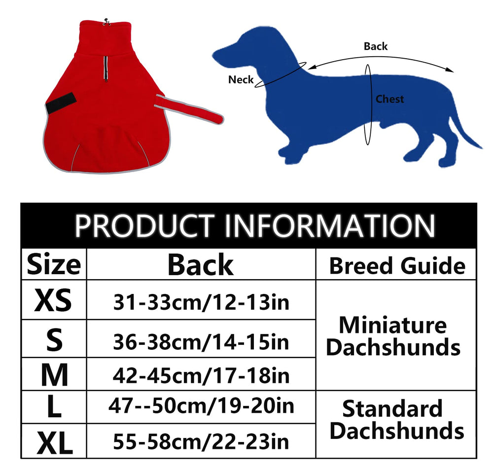 Color rojo vibrante del abrigo Morezi dachshund para visibilidad