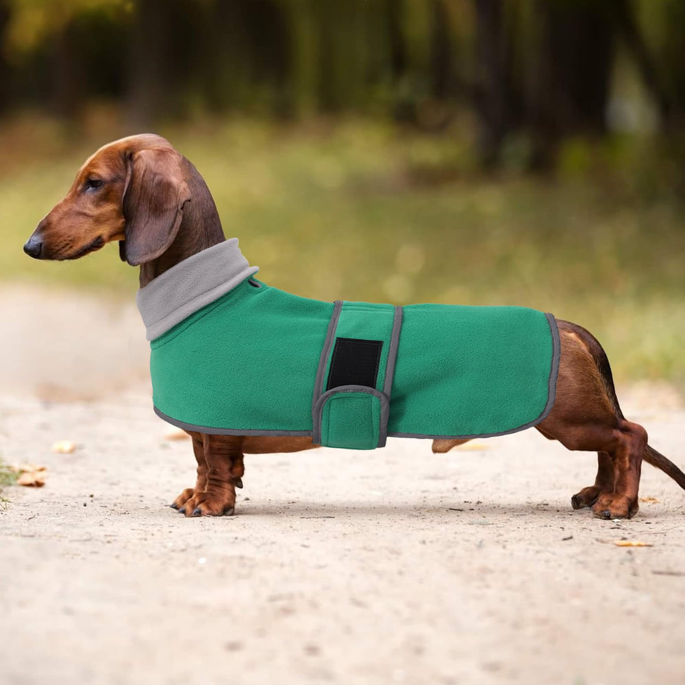 Morezi diseño práctico para paseos nocturnos, ajuste cómodo.