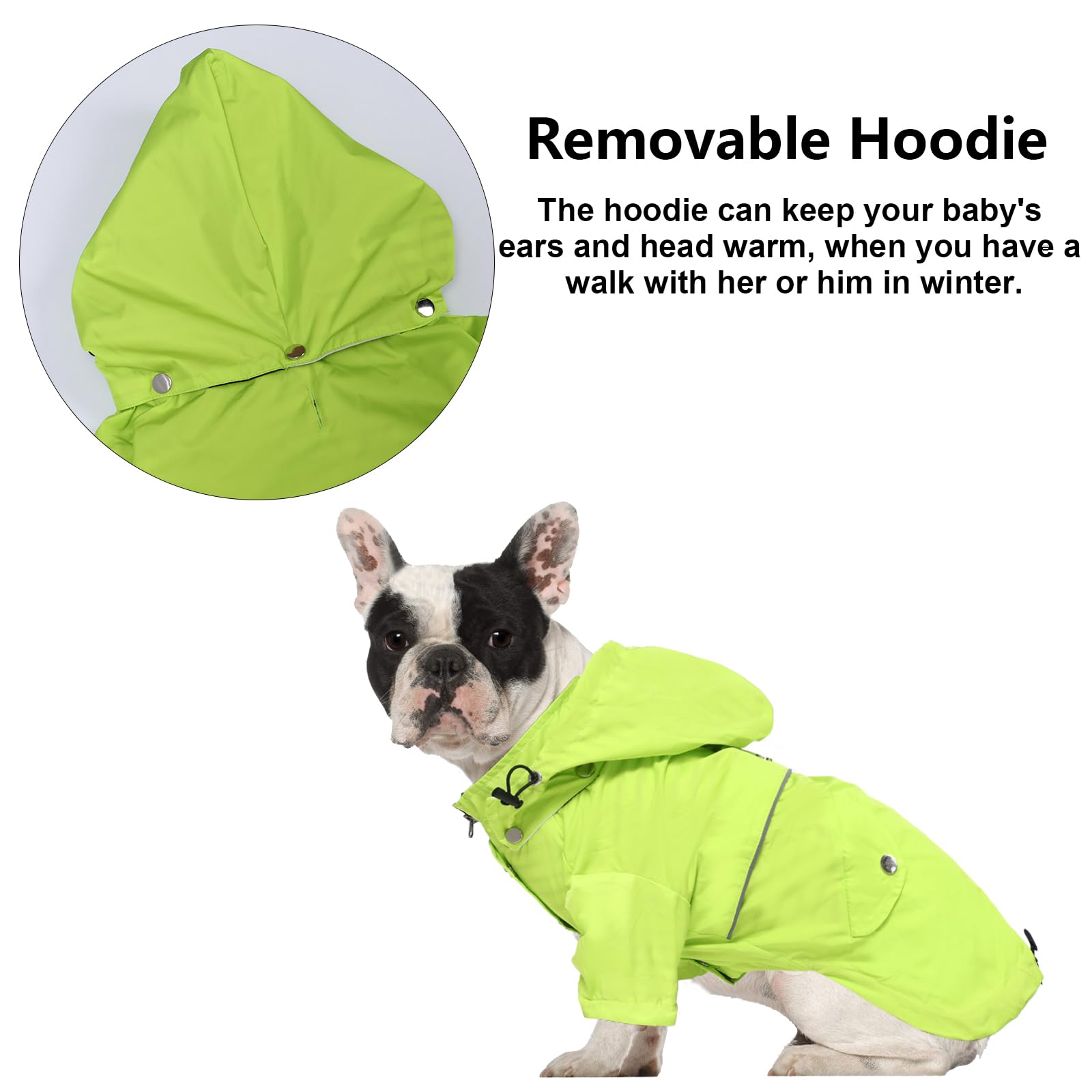 Morezi impermeable para perros con bolsillos traseros para llaves y snacks pequeños