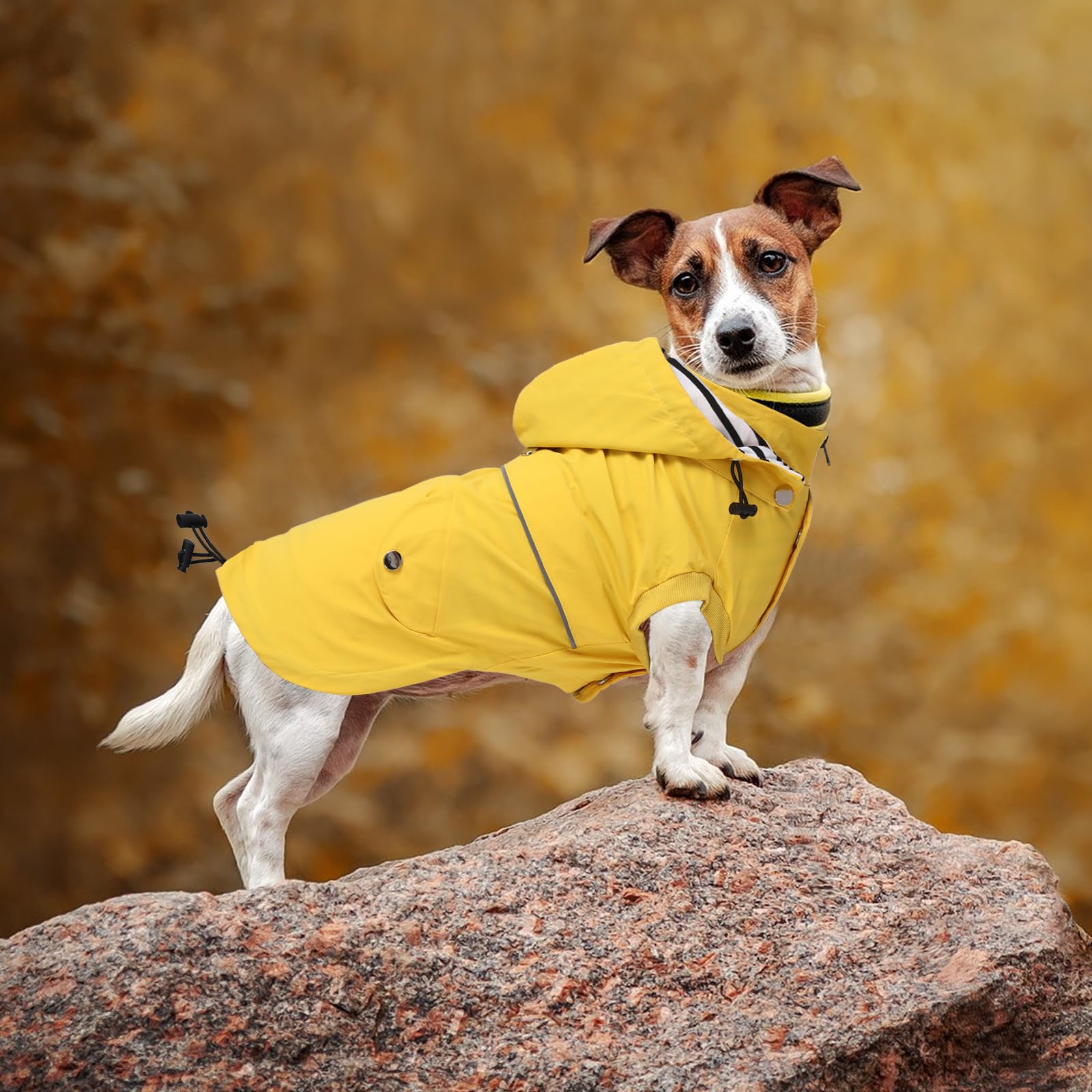 Morezi diseño en amarillo brillante para mayor visibilidad durante el paseo.