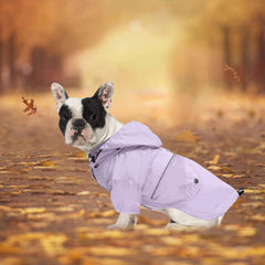 Morezi chaqueta canina con botones reflectantes para mejor visibilidad nocturna.