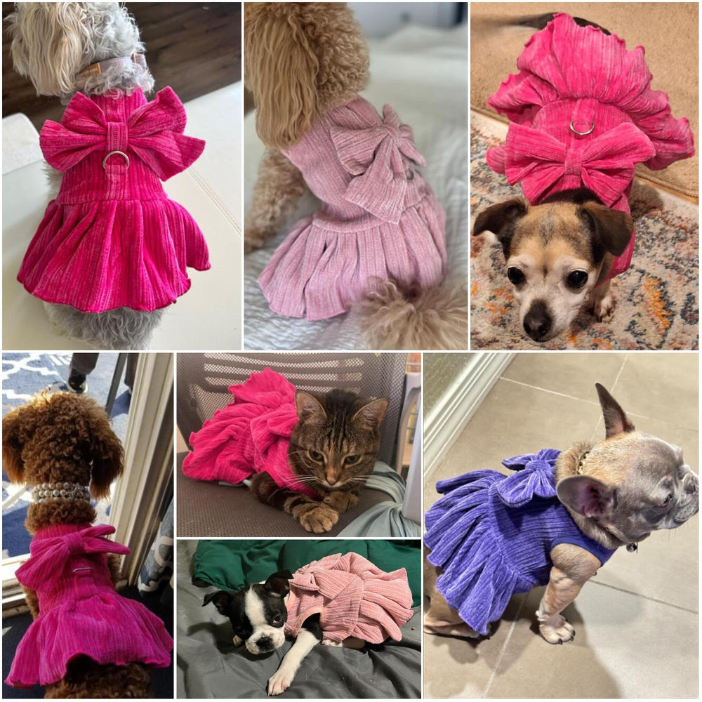 MORFORU vestido de fiesta para mascota, perfecto para sesiones fotográficas.