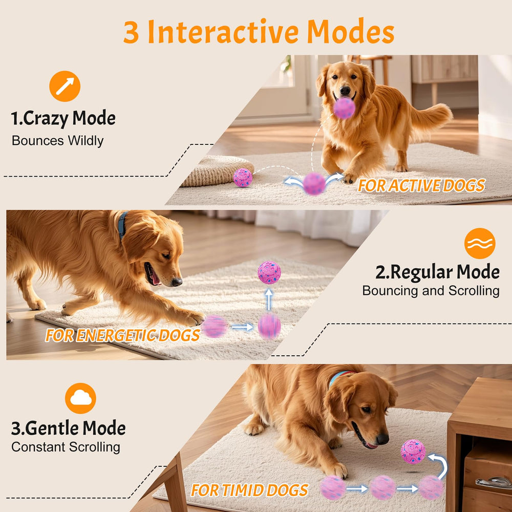 Morhandisn bola perro carga rápida USB-C para juego inmediato.
