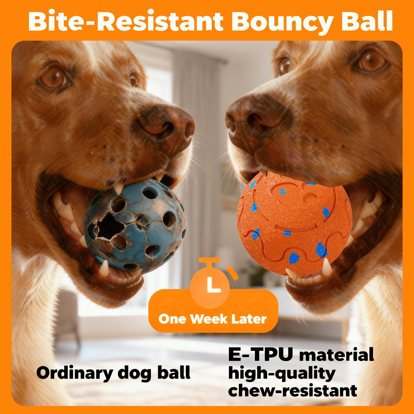 Bola morhandisn para perros con diseño IP54 impermeable