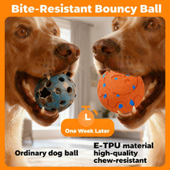 Bola morhandisn para perros con diseño IP54 impermeable