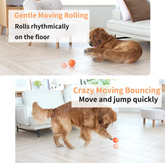 Modos de juego de la bola morhandisn para perros