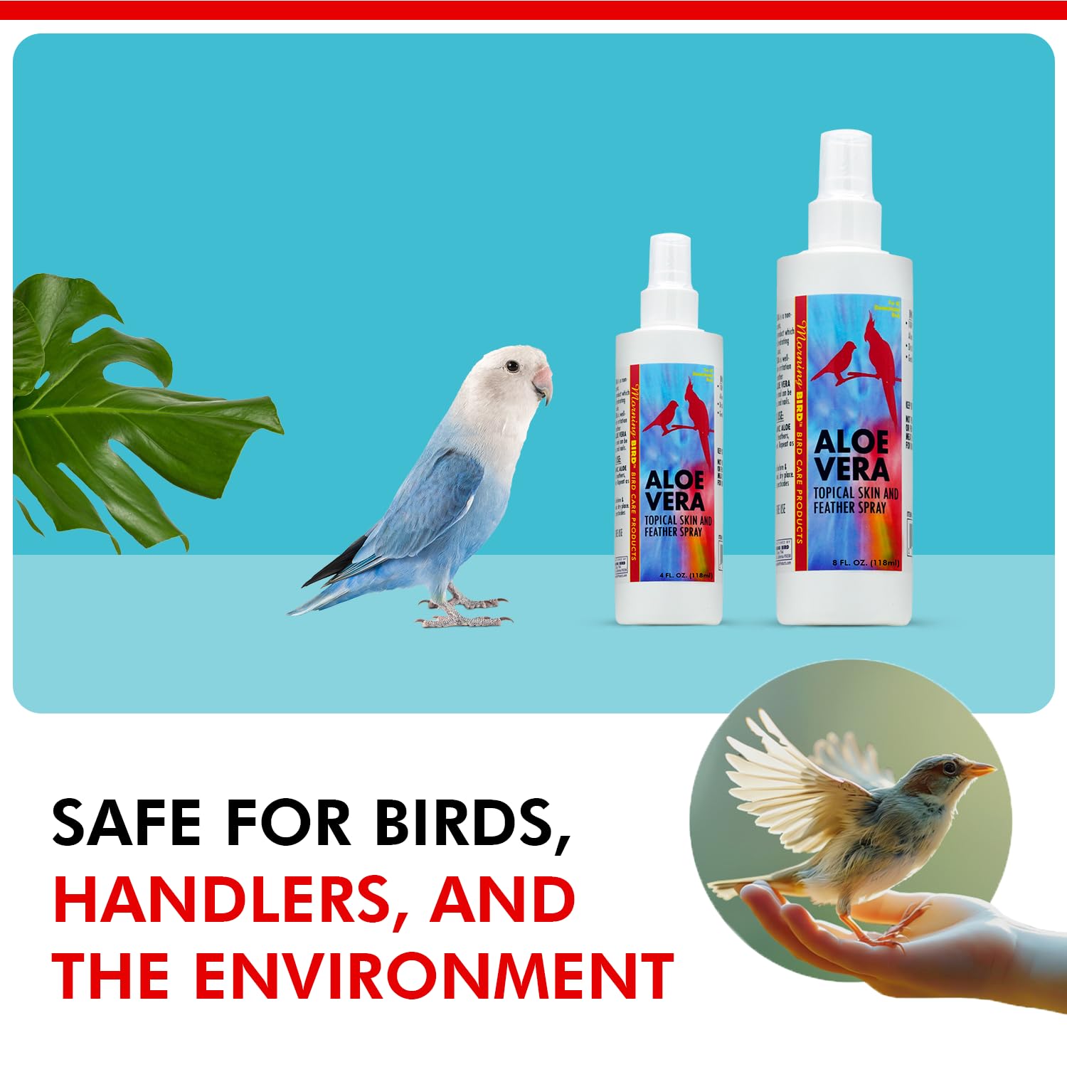 Producto hecho en EE. UU. Morning Bird Aloe Vera Spray para aves.