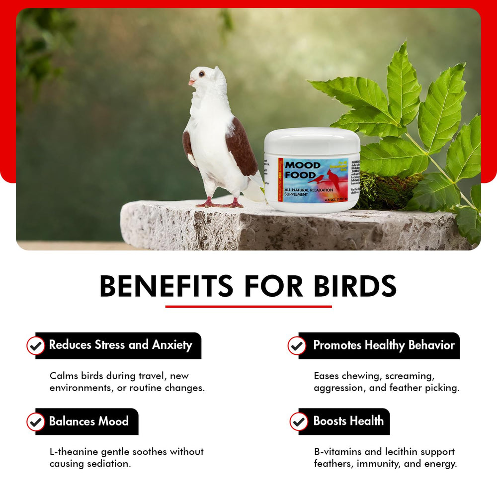Morning Bird Mood Food: ave relajada tras la administración diaria