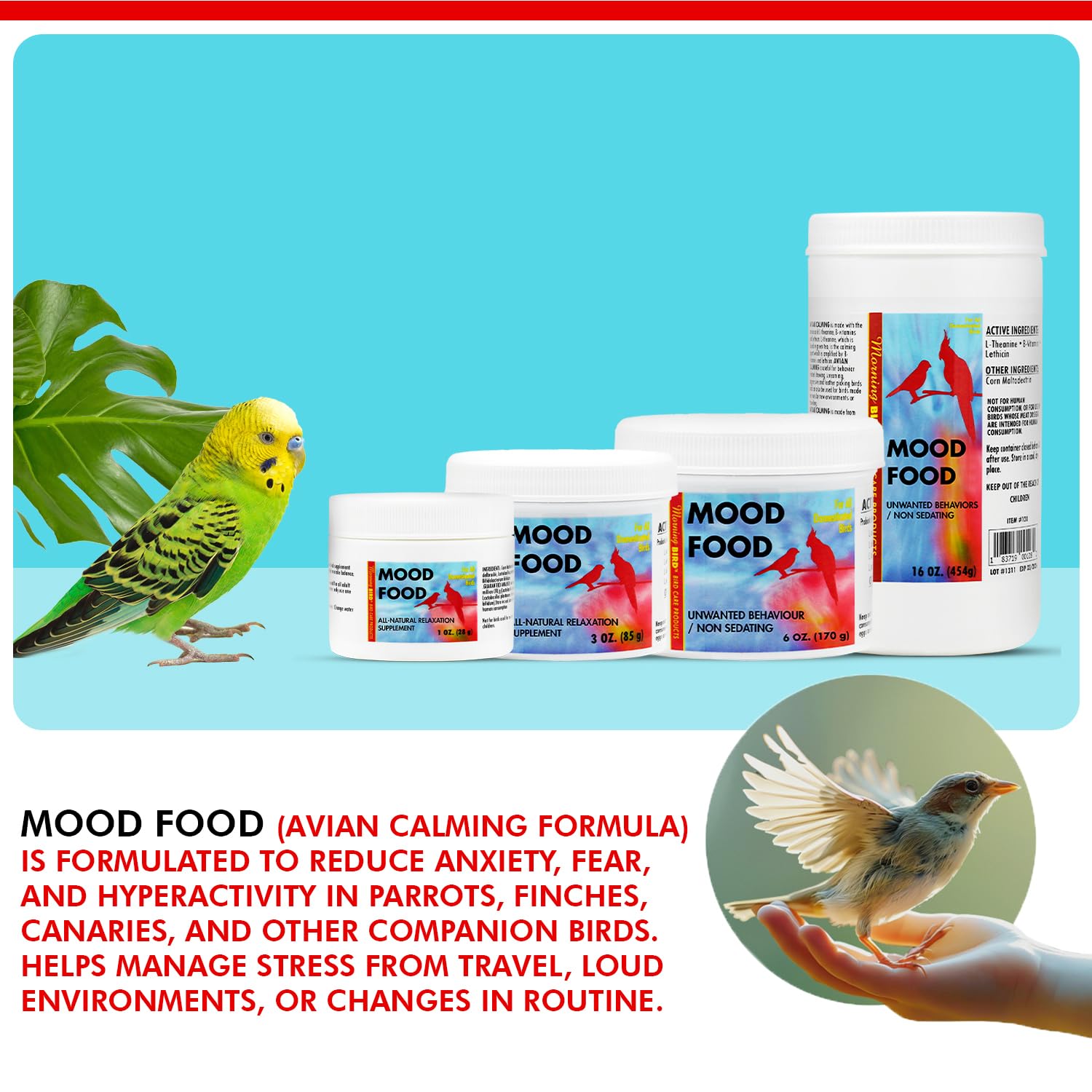 Morning Bird Mood Food, envase portatil: ideal para viajes y visitas al veterinario.
