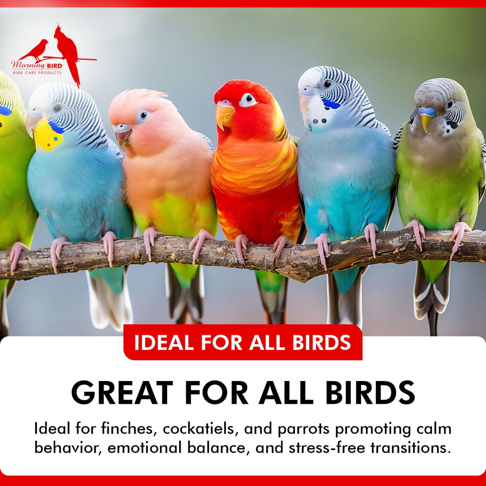 Morning Bird Mood Food: mezcla en alimento para dosis sencilla