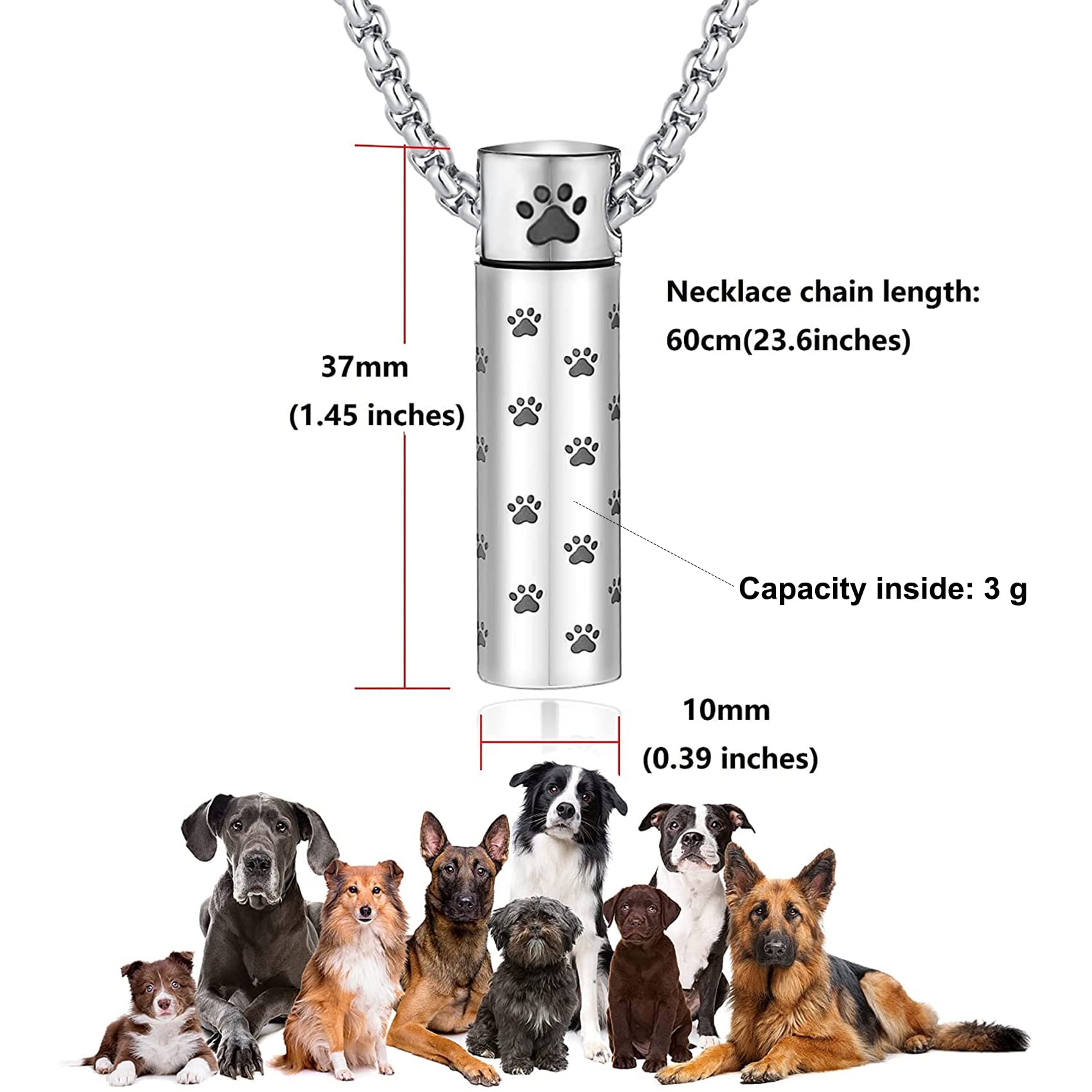 MOROTOLE collar urna con etiqueta grabada para cenizas de mascota.