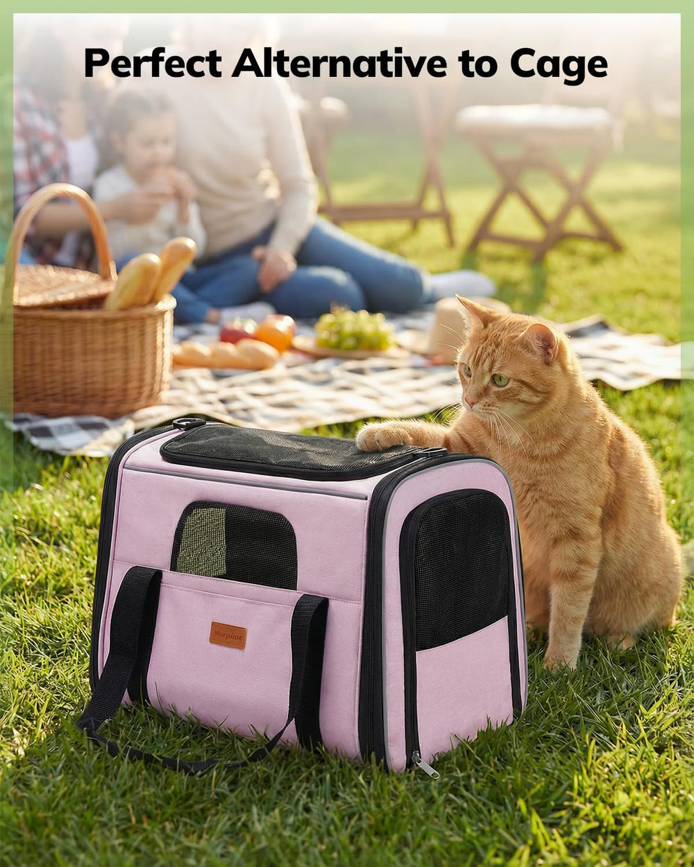 Mor pilot portatil transportin gato plegable para guardar facilmente.