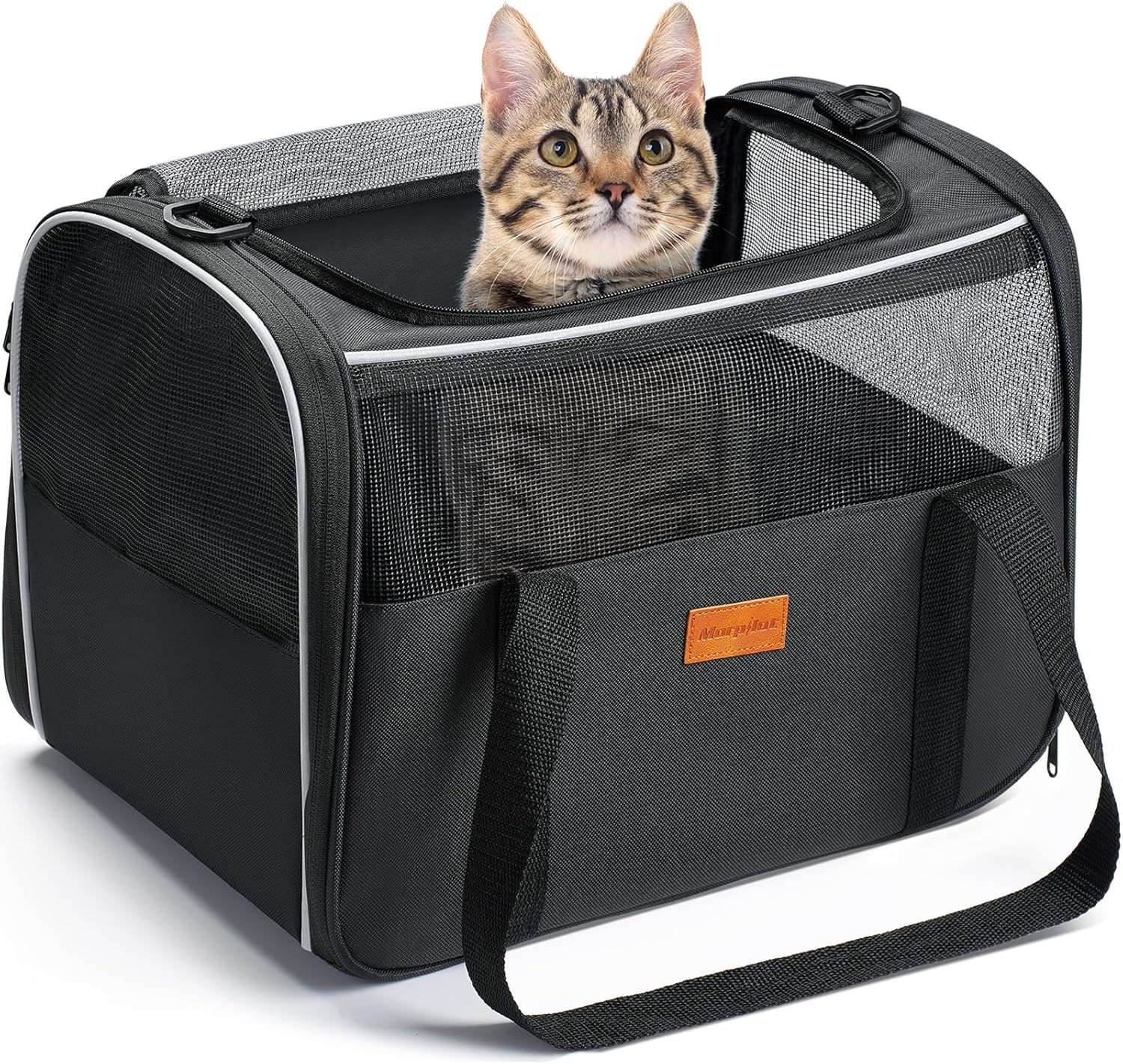 Morpilot transportín gato espacio amplio para viajar cómodo