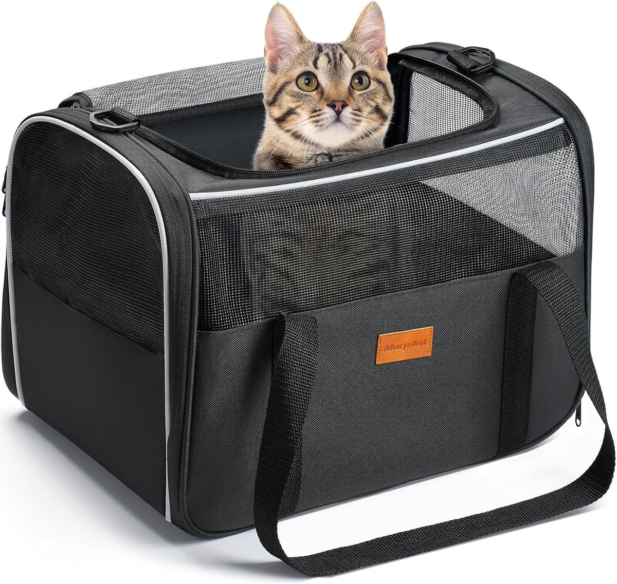 Morpilot transportín gato espacio amplio para viajar cómodo