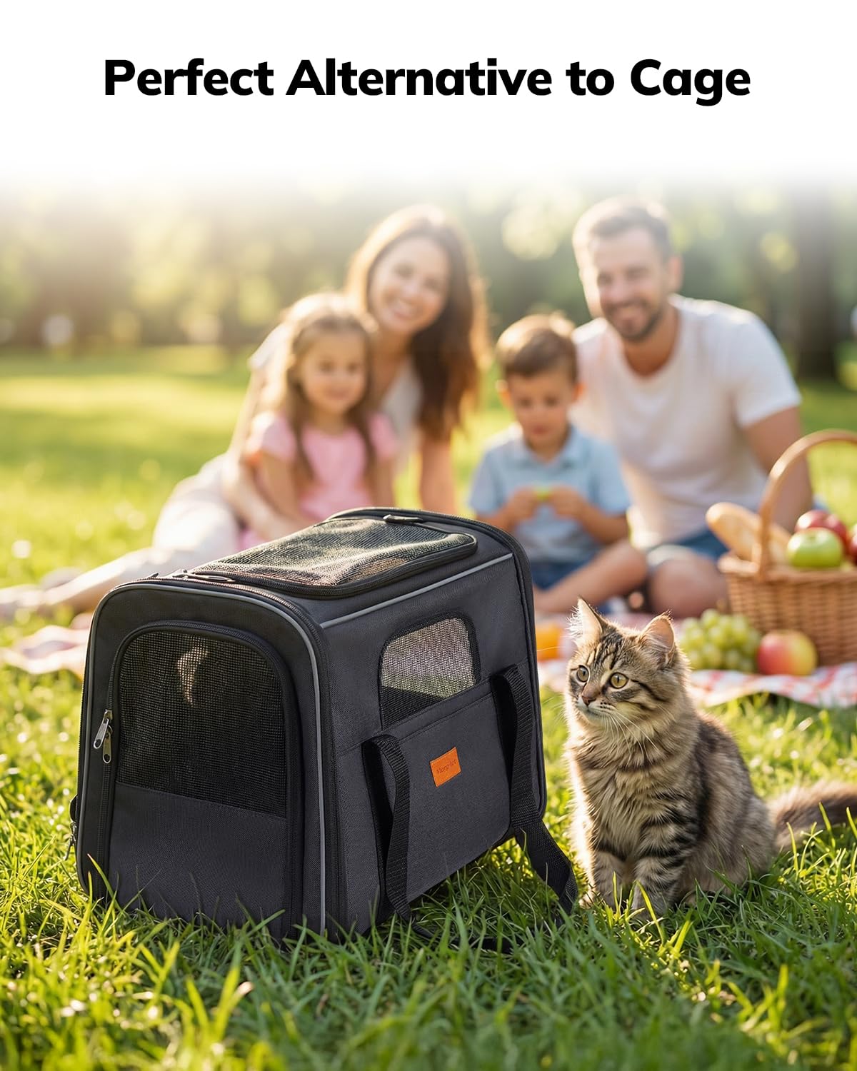 Morpilot transportin para gatos, ideal para viajar en coche, tren o avion.