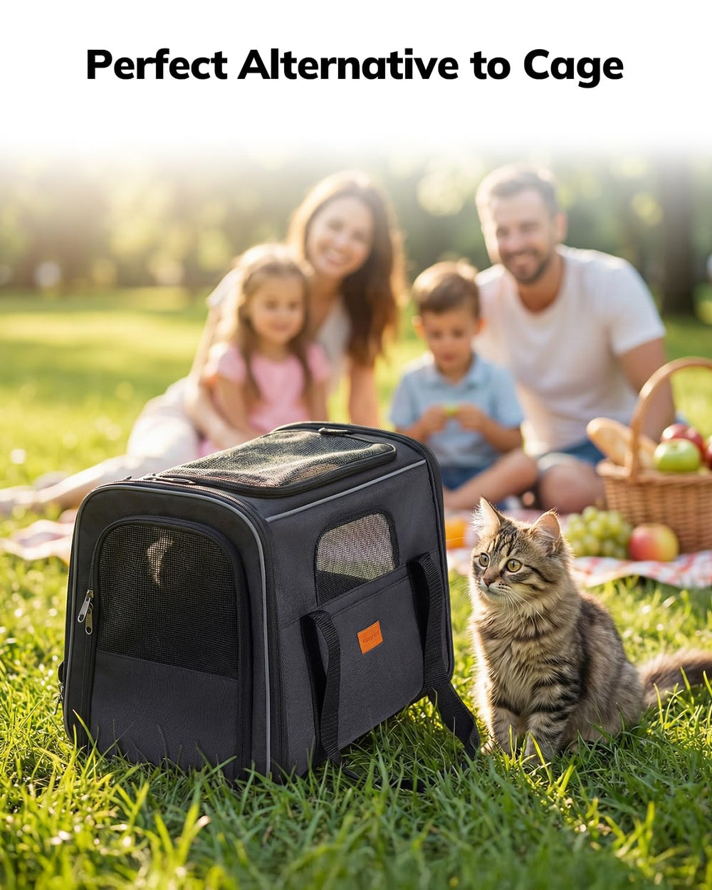 Morpilot transportin para gatos, ideal para viajar en coche, tren o avion.