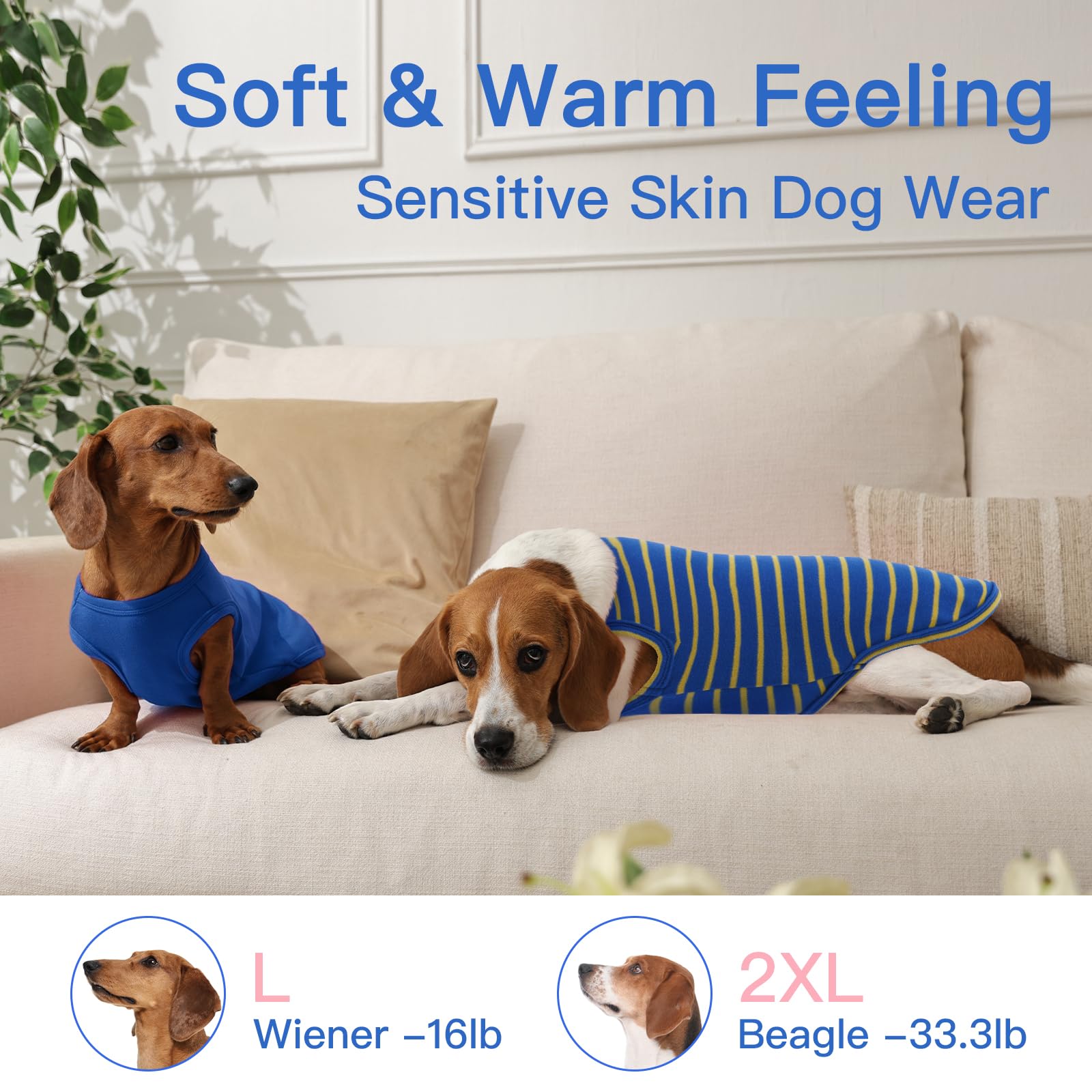 Diseño ligero MORVIGIVE, fácil de poner para perros.