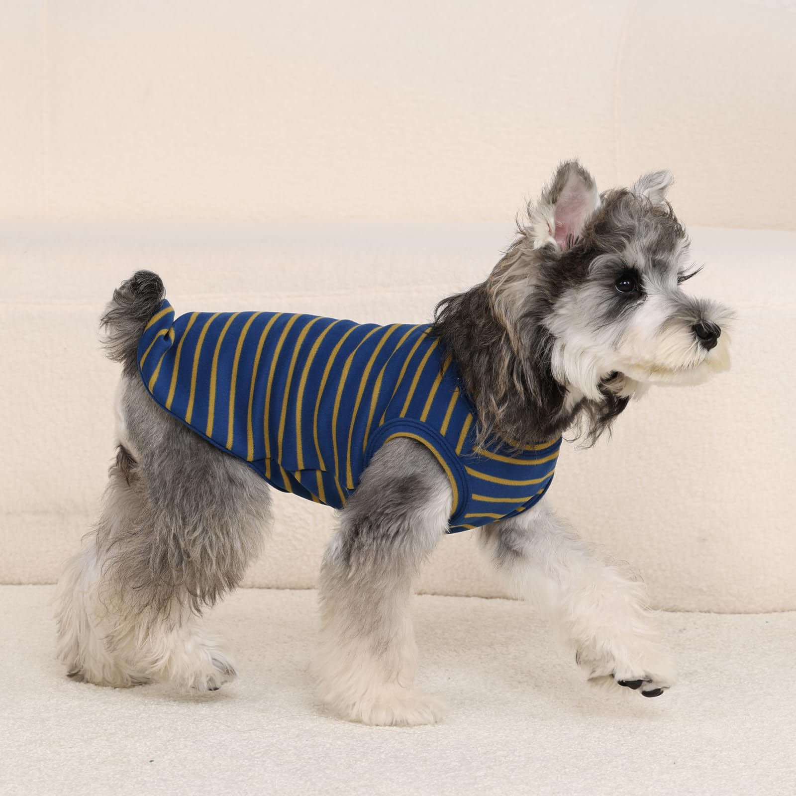 Chaleco MORVIGIVE para perros XS, compatible con tallas.