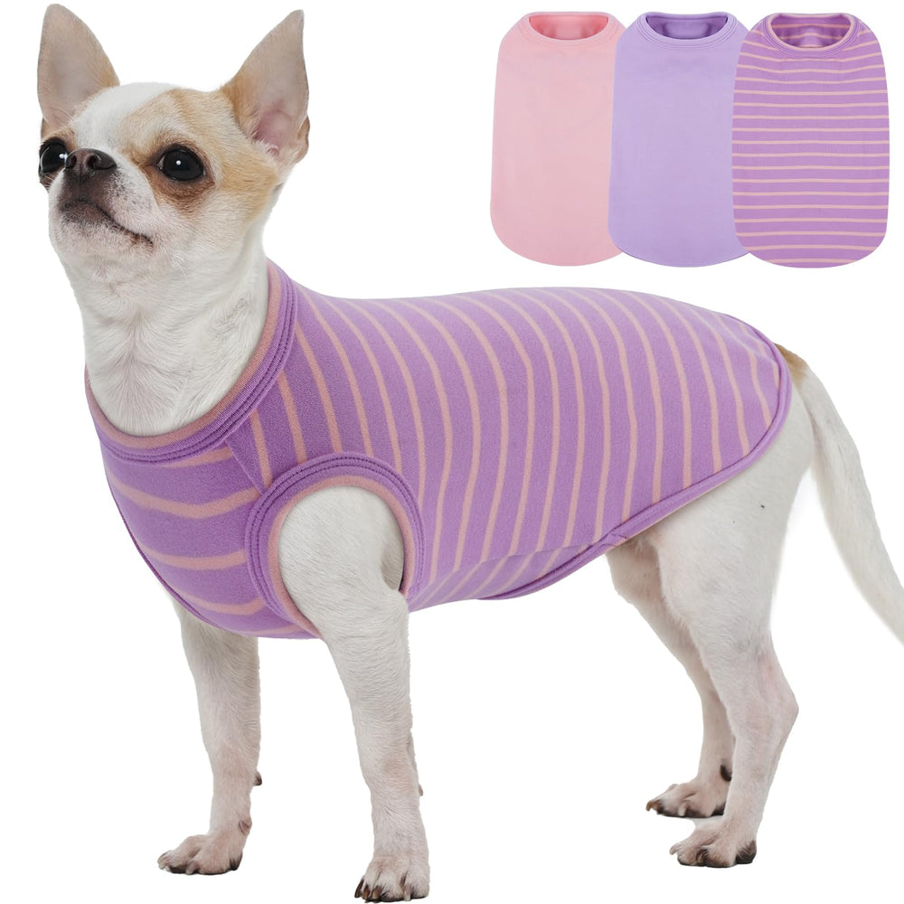 MORVIGIVE 3pack de suéteres para perros pequeños en rosa, listo para paseos