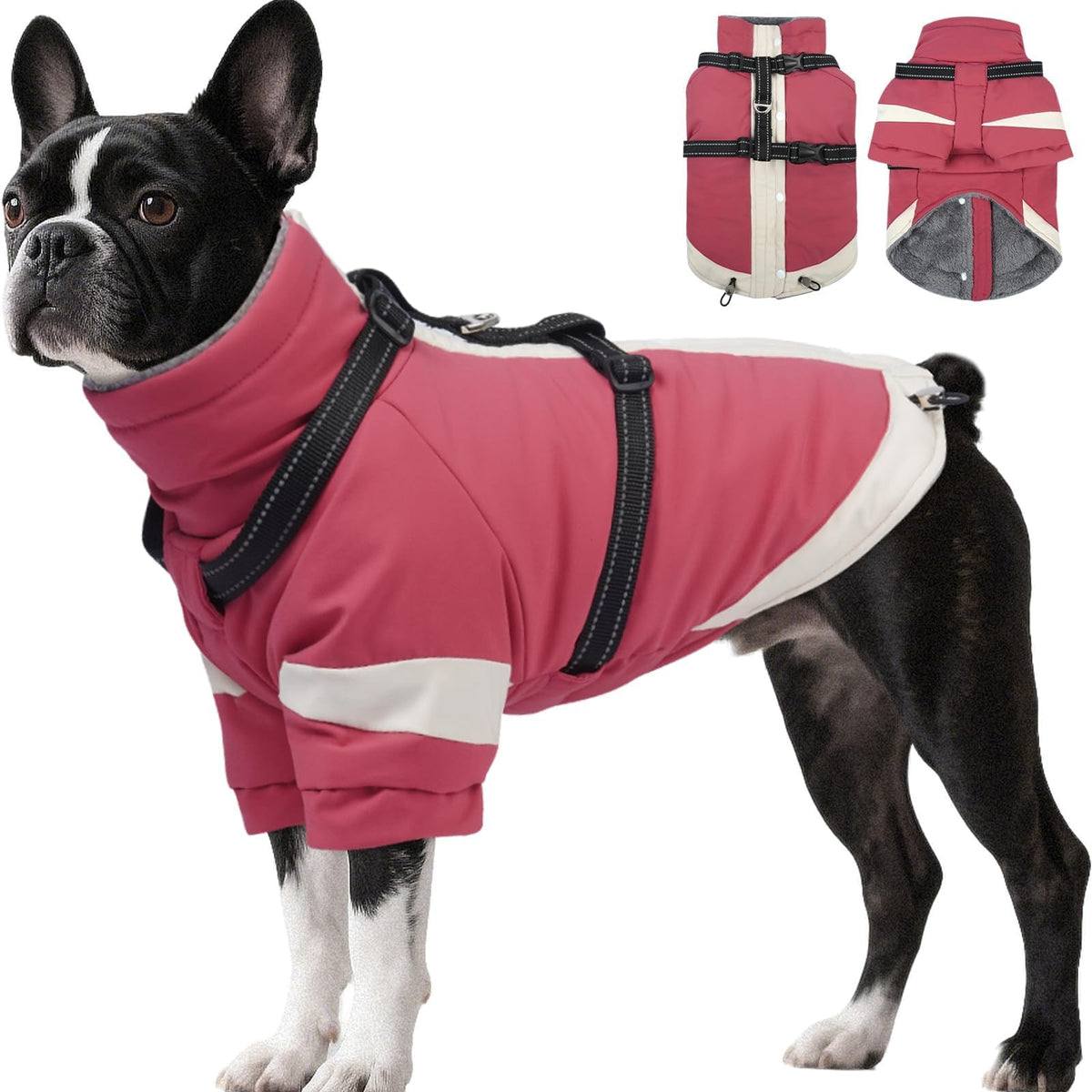 Morvigive abrigo de invierno para perro con arnés integrado, ideal para paseos en frío.
