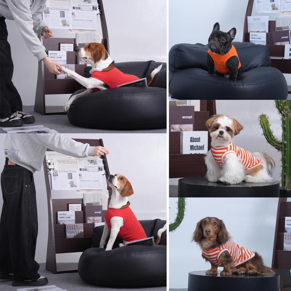 MORVIGIVE camiseta para perro mediano naranja, dorso, diseño sin mangas cómodo.