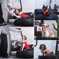 MORVIGIVE camiseta para perro mediano naranja, dorso, diseño sin mangas cómodo.
