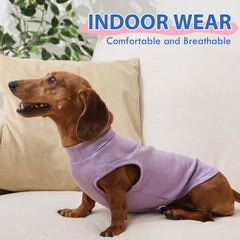MORVIGIVE prenda de invierno para perros, ideal para caminar al exterior.