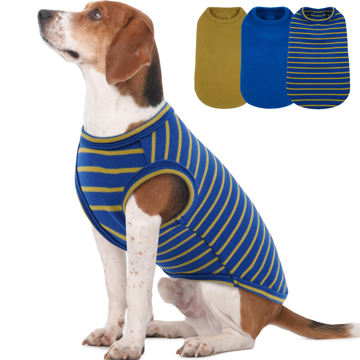 Morvigive trío de sudaderas para perro mediano en azul con rayas, ideal para salidas diarias.