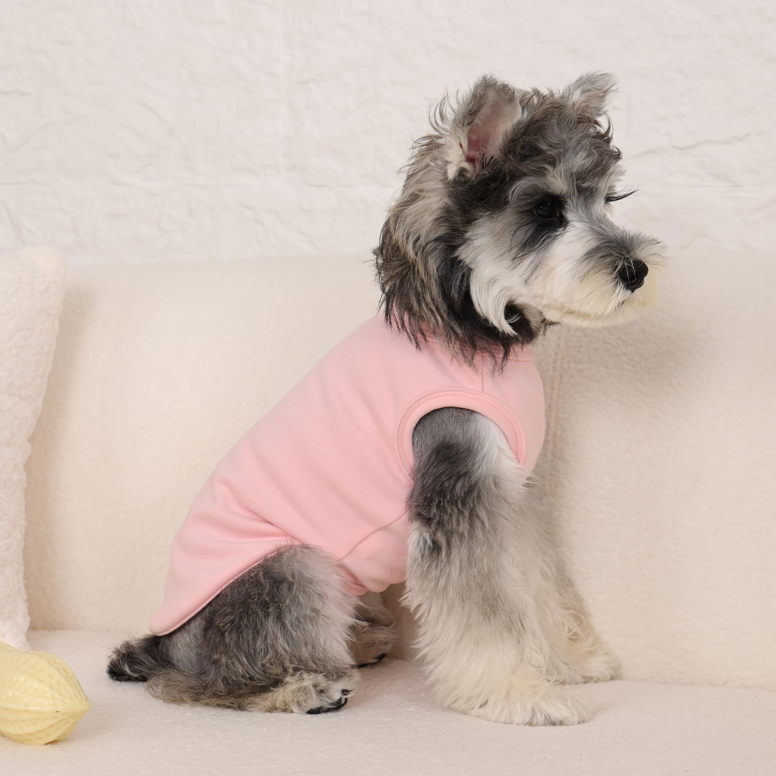 Uso diario en interior o exterior MORVIGIVE, suéter para perro pequeño