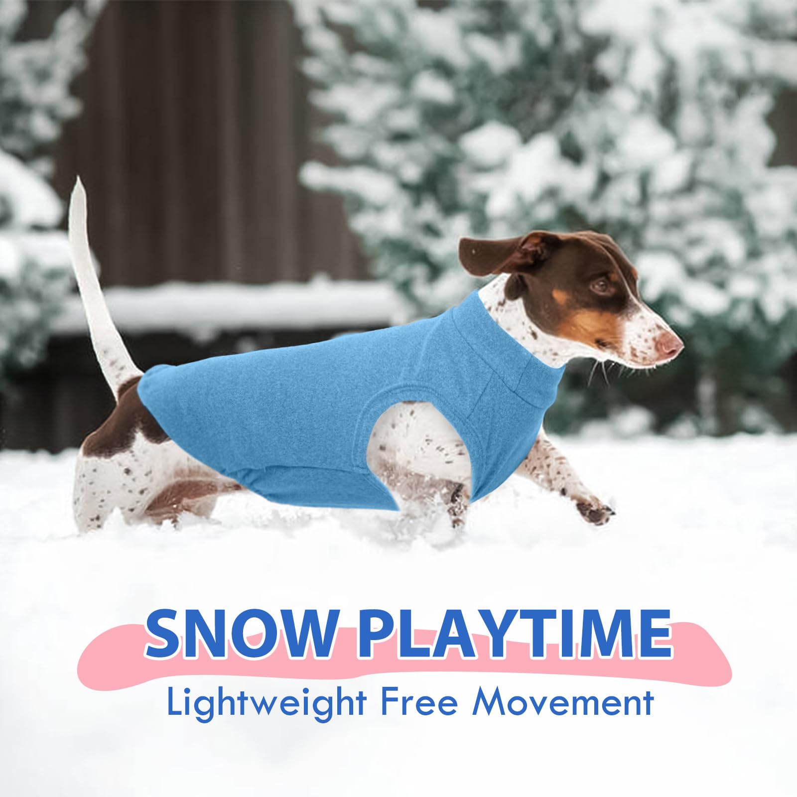 Morvigive uso en interiores y exteriores, chaleco azul para perro talla M.