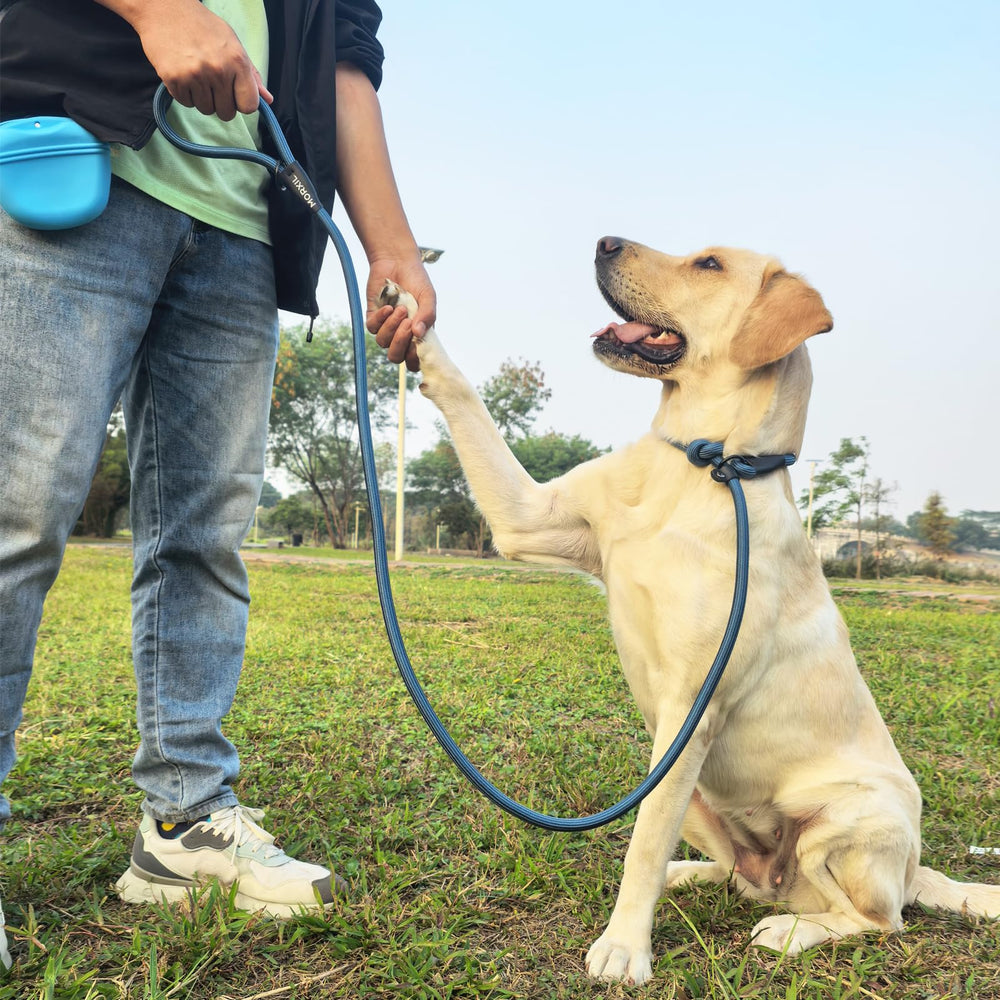 MORXIL para perros grandes, 6 ft, agarre cómodo y control firme