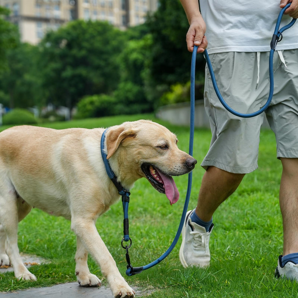 MORXIL: diseño resistente para perros de todos tamaños