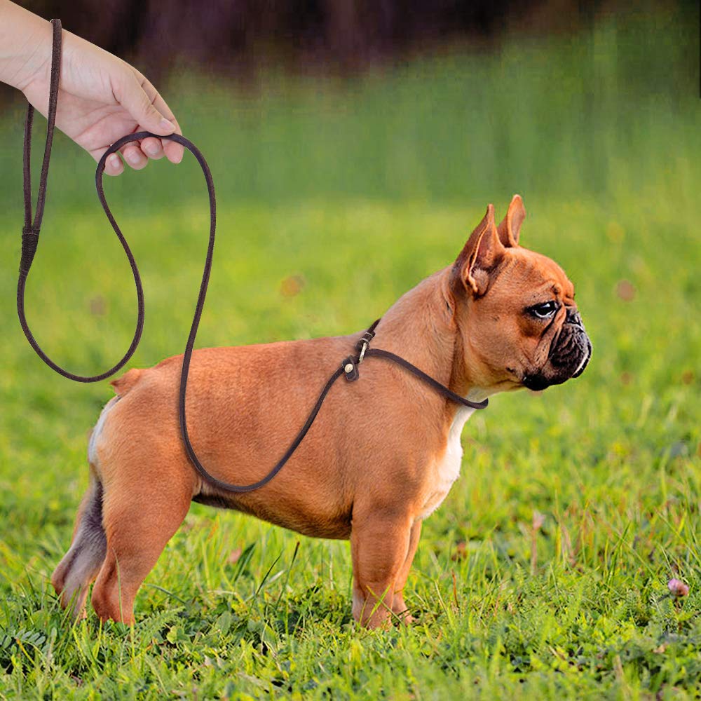MoSANY correa-slip-cuero-real para crecimiento de perros pequeños y medianos.