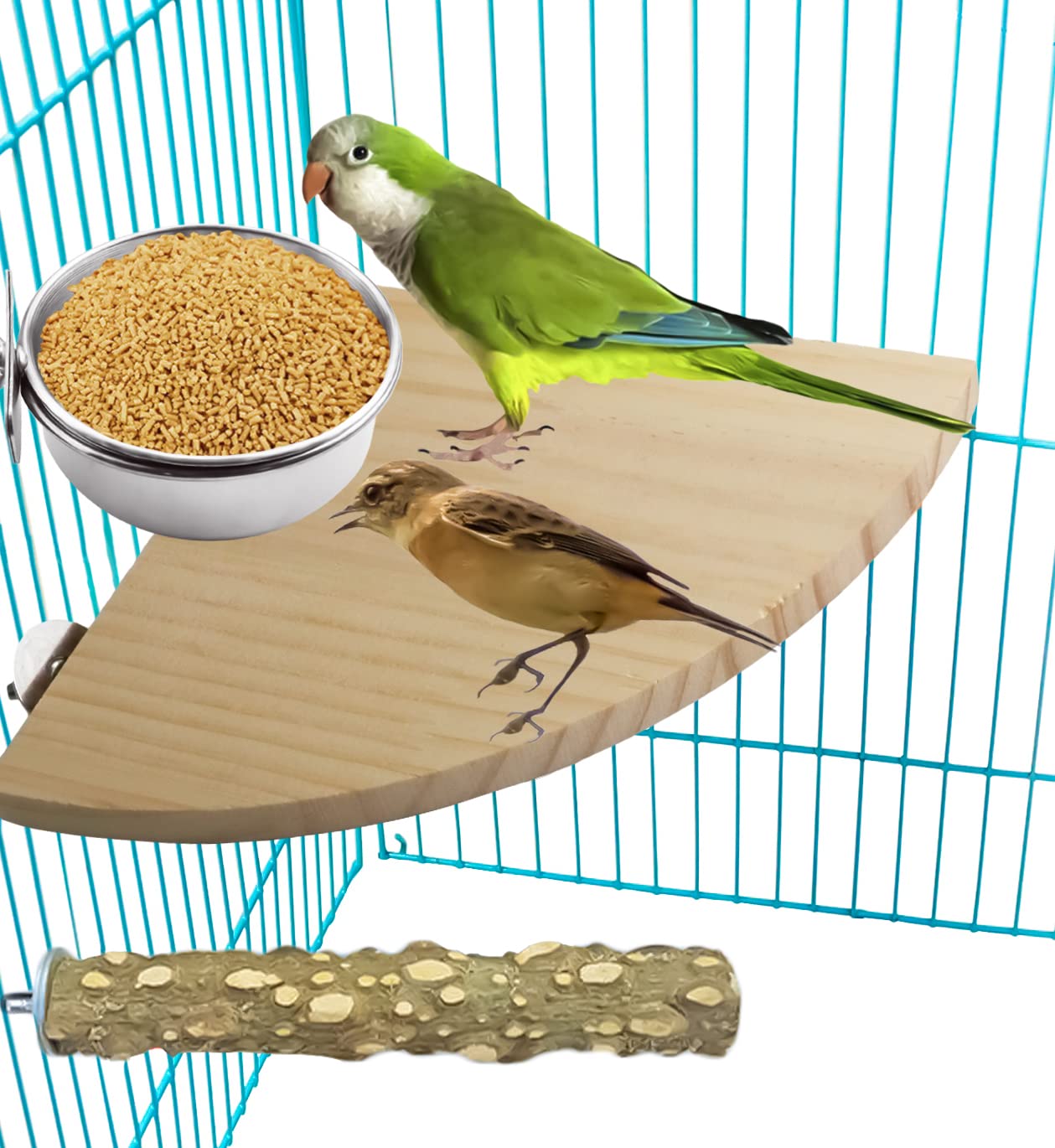 MotBach cuenco de agua para aves en acero inoxidable, diseño duradero y fácil limpieza.