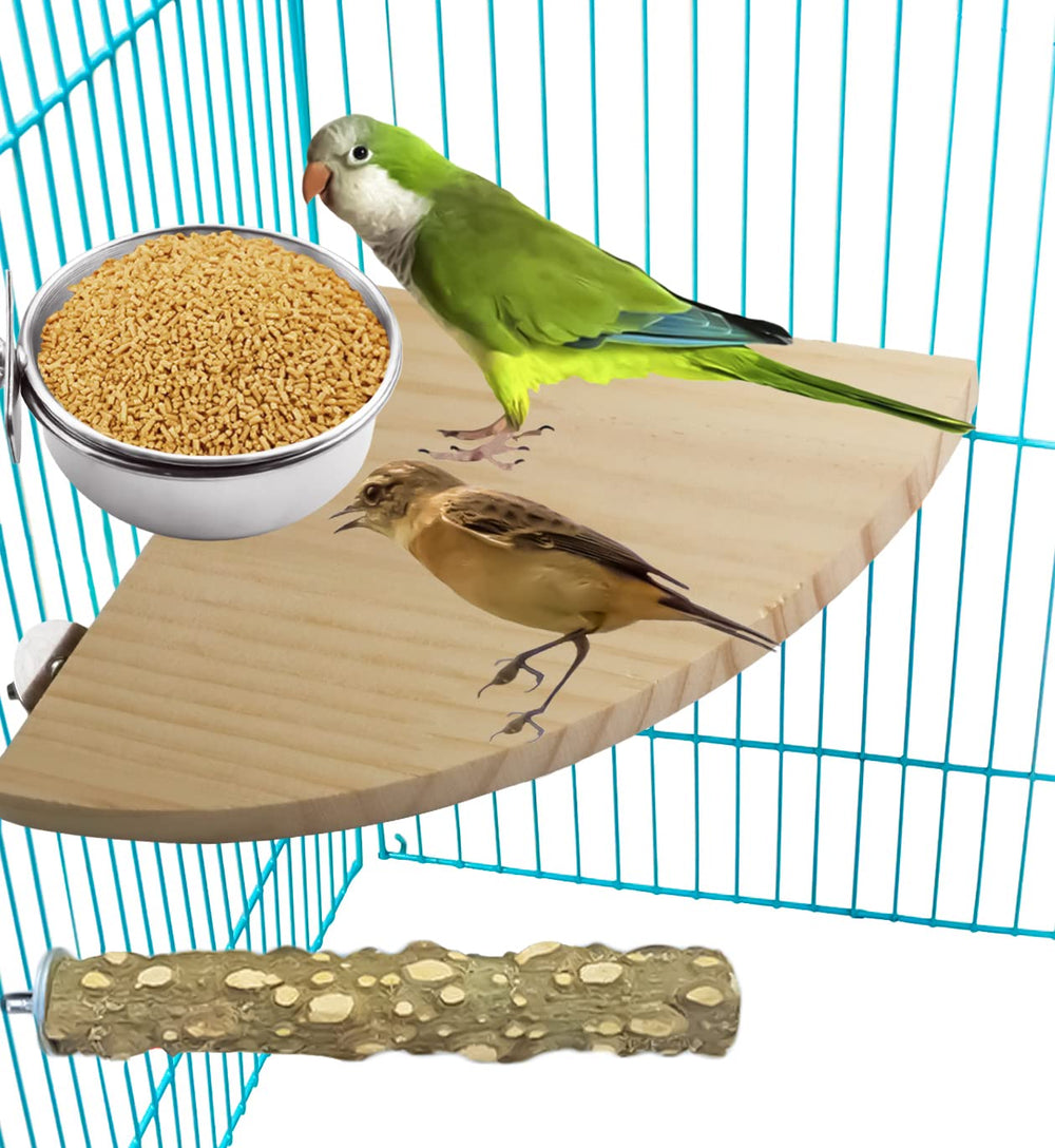 MotBach cuenco de agua para aves en acero inoxidable, diseño duradero y fácil limpieza.