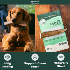 Asta de alce Mountain Valley para perros, mediana entera, perfecta para razas medias activas