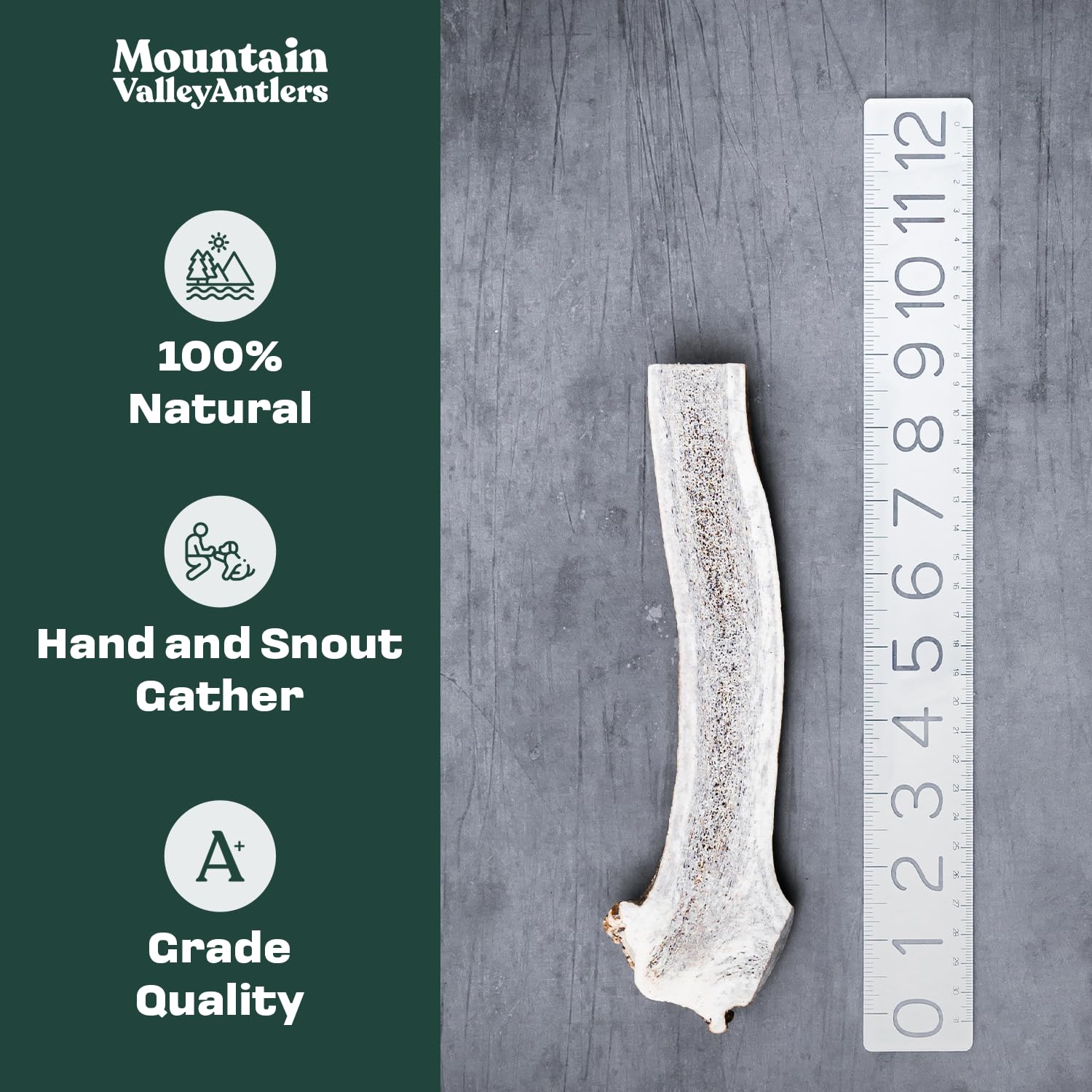 Mountain Valley Antlers para perros, masticación prolongada.
