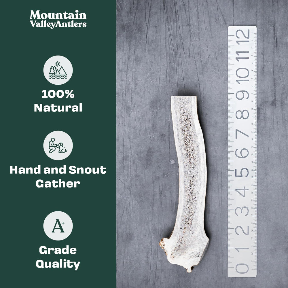 Mountain Valley Antlers para perros, masticación prolongada.